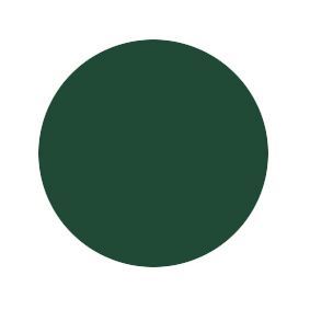 Skocreme / skosværte - Bjørns, mørkegrøn/green